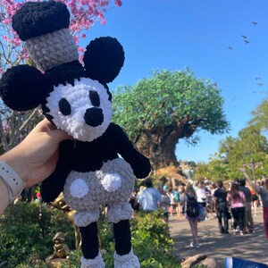 May include: A black and white crocheted Mickey Mouse plush toy with a grey hat. The toy is being held in front of a large tree with a waterfall in the background.