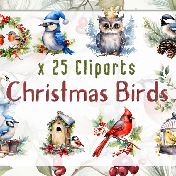 Watercolor Christmas Birds, Clipart PNG Cute Christmas Birds Bundle, Commercial use, Instant Digital Download, Winter Birds Cliparts