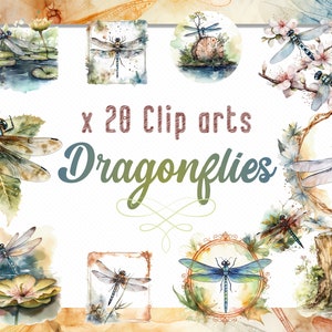 Watercolor Dragonflies, Clipart PNG Dragonflies, Watercolor Dragonflies Bundle, Commercial use, Instant Digital Download