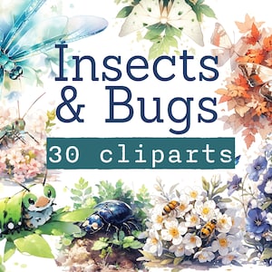 Watercolor Insects and Bugs Clipart bundle, Watercolor PNG for Scrapbooking or Creative projects, Firefly, Ladyvug, Butterfly clipart