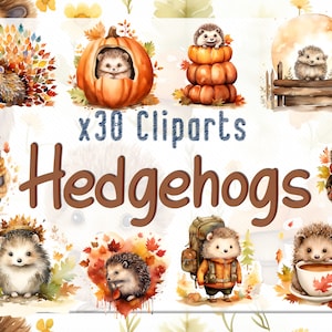 Watercolor Hedgehogs Illustrations | Clipart PNG Hedgehog Bundle | Fall Autumn Clipart Bundle, Instant Digital Download, Commercial Use
