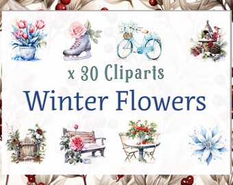 Watercolor Winter Flowers Clipart bundle, Watercolor Illustrations of Winter Flowers, PNG for Scrapbooking or Cards, Instant Download