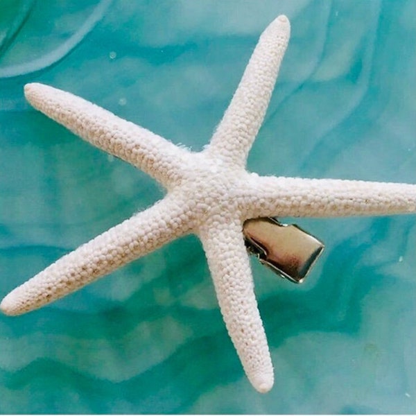 Starfish Clip White