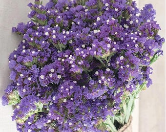 May include: A bouquet of dried statice flowers in shades of purple and white. The flowers are arranged in a rustic burlap-wrapped vase.