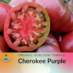 Cherokee Purple Tomato seeds, Heirloom Tomato Seeds, Garden seeds, Purple tomato, Non GMO Open Pollinated Organically Grown