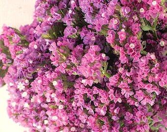 Hormesis EstheeMat ST-240 ピンク JMEXSUSS 2 Pack Solar Fairy Lights, 33ft 100 LED Pink