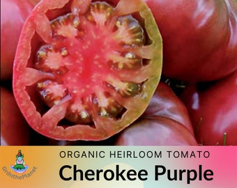 Cherokee Purple Tomato seeds, Heirloom Tomato Seeds, Garden seeds, Purple tomato, Non GMO Open Pollinated Organically Grown