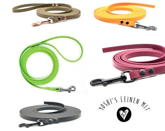 13 mm BioThane dog leash with a heart for animal welfare