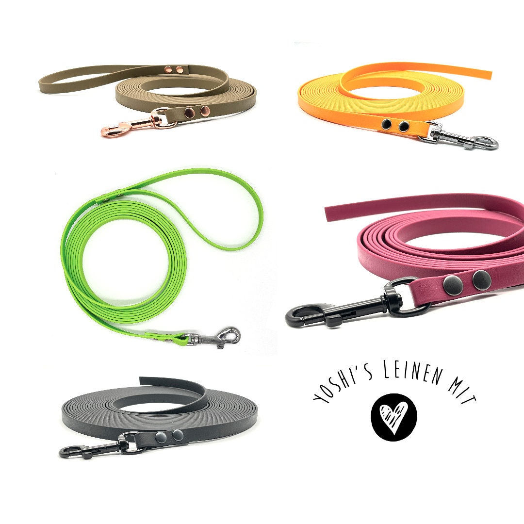 Welpenleine und halsband - Etsy.de