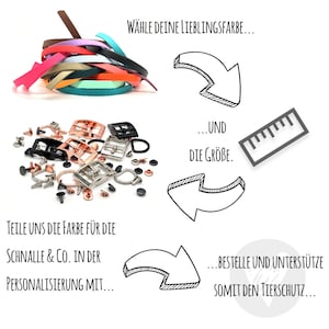 May include: A graphic showing the steps to personalize a dog collar. Choose your favorite color and size for the collar, then choose the color for the buckle and hardware. The text says "Choose your favorite color... and the size.  Tell us the color for the buckle and hardware in the personalization. Order and support animal welfare."