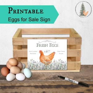 Floral Border Eggs For Sale Sign,  Digital Download , includes JPEG and PDF files, Egg Signs, Eggs For Sale, Farm Signage, Business Signs