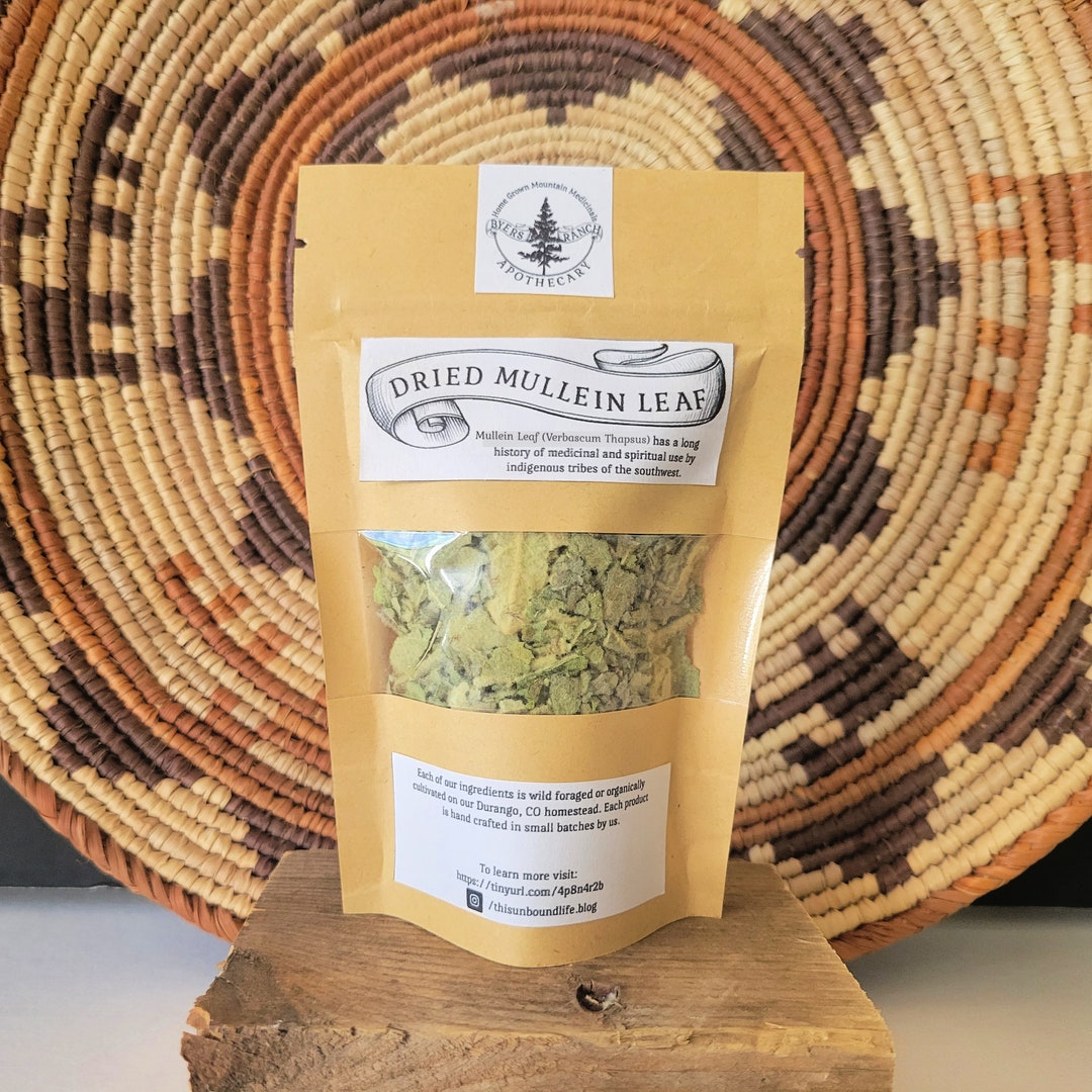 Dried Mullein Leaf Verbascum Thapsus Dried Verbascum Etsy UK