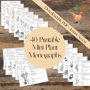 40 mini monografias de plantas para impressão | Ferramentas Herbalistas | Presentes de fitoterapeuta | Herbalista iniciante | Matéria Médica | Boticário Doméstico