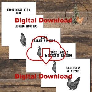 Chicken Keeping Log Book: 21-Page Printable Homestead Journal (Digital Download PDF) image 5