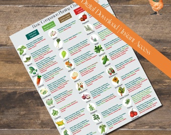Companion Planting Friends & Foes Guide - Etsy