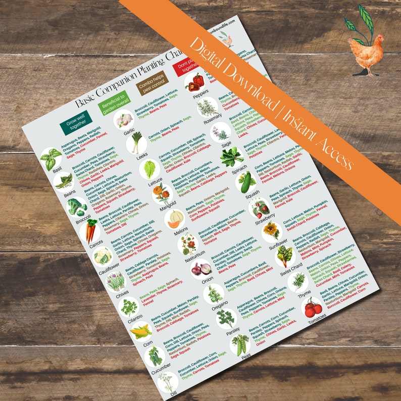 May include: A colourful chart with a list of vegetables and herbs that are good companions for growing together in a garden. The chart is divided into three sections: "Grow well together", "Beneficial to garden overall", and "Combo helps pest control".