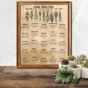 Herbal Actions Chart | Printable Poster | Herbalism | Herbalist Chart | Herbal Reference | Herbalist Tools