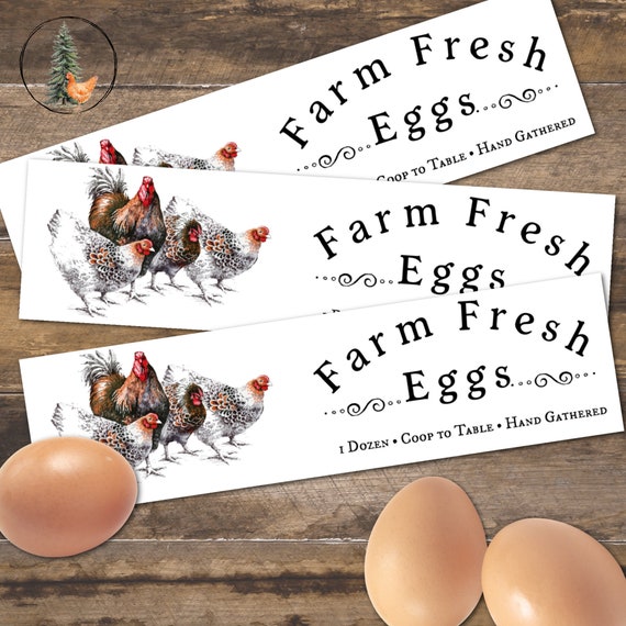 Farm Fresh Chicken Egg Labels, Egg Carton Stickers, Farm Gift, Backyard  Chicken Sticker, Homesteading Supplies, Farm Market Supplies -  Sweden