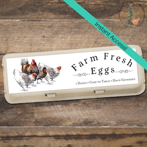 Flock of Chickens Egg Carton Labels - Printable Egg Carton Label,  Digital Download JPEG, PNG and PDF files, Farm Branding, Egg Sticker