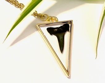 Shark Tooth Necklaces