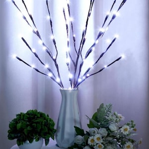 Willow Branch lights, floral lights, cool white birch branch lights, (2 pack) 40 LED cool touch lights USB Spring Decor Mother’s Day gift