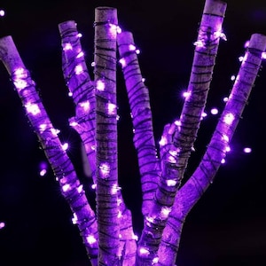 May include: Close-up of decorative tree branches wrapped with purple fairy lights. The branches are a light brown color and are arranged against a black background. The lights are small and bright, creating a festive atmosphere.