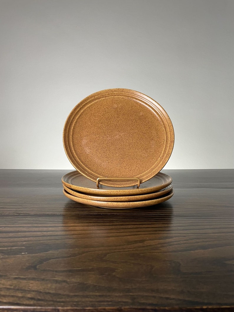 Mojave Brown Dinner Plates by Monmouth 10 set of 4 Etsy