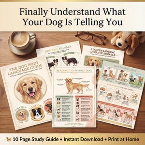 Könnte beinhalten: Eine Sammlung von Lehrmaterialien über das Verhalten von Hunden. Das Material umfasst ein Buch mit dem Titel "The Dog Body Language Guide" und mehrere Informationsblätter. Der Text auf den Materialien lautet "Finally Understand What Your Dog Is Telling You".