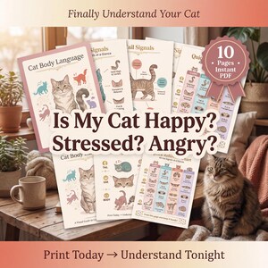 May include: A collection of educational cat behavior charts with the text "Is My Cat Happy? Stressed? Angry?" and "Cat Body Language." The charts feature illustrations of cats and their body language. The image also includes a brown tabby cat.