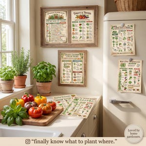 Companion Planting Guide | Vegetable Garden Charts (Digital Download) image 8