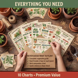 Companion Planting Guide | Vegetable Garden Charts (Digital Download) image 2