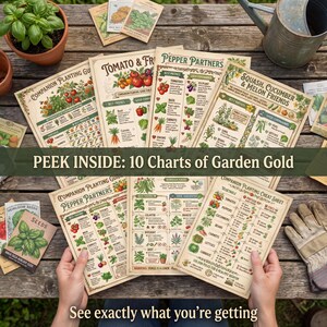 Companion Planting Guide | Vegetable Garden Charts (Digital Download) image 3