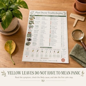 Plant troubleshooting chart page displayed on a warm table with a yellowing leaf clipping, magnifying glass, cloth, plant label, and terracotta pot.