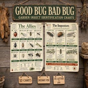 May include: A wooden sign titled GOOD BUG BAD BUG GARDEN INSECT IDENTIFICATION CHARTS hangs above two informational posters. The left poster, The Allies, and the right poster, The Impostors, feature illustrations of insects with text descriptions.