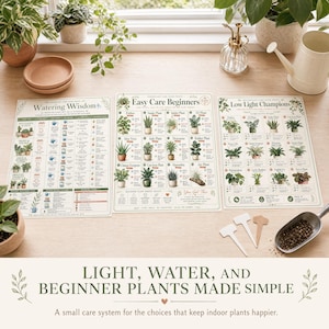 Plant care workstation scene showing low light, beginner plant, and watering wisdom chart pages with terracotta saucer, mister, plant tags, and soil scoop.