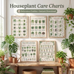Pode incluir: Cinco gráficos emoldurados de cuidados com plantas de interior com ilustrações botânicas e texto. Os gráficos incluem títulos como "Houseplant Care Guide", "Low Light Champions" e "Easy Care Beginners". O texto "5 Reference Guides • Instant Download" está no topo.