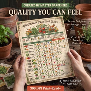 Companion Planting Guide | Vegetable Garden Charts (Digital Download) image 6