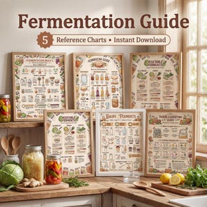 May include: A set of framed fermentation guides, covering topics such as fermentation basics, kombucha, vegetable ferments, and dairy ferments. The guides feature colourful diagrams and text, with the title "Fermentation Guide" displayed prominently.