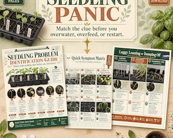 Guía para identificar problemas en plántulas / Tabla de solución de problemas en la germinación de semillas / Solución para plántulas espigadas / PDF imprimible para jardinería