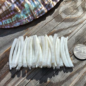 May include: A collection of small, white, tubular dentalium shells arranged in a cluster next to a silver-colored coin for scale. The text RoseSunnyGoods is printed in white near the base of the shells. A large, iridescent abalone shell is visible.