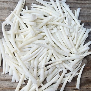 4oz (1/4 lb) White Dentalium Shells: Smooth Tusk Shells (1-1.75 inch)
