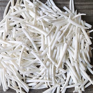 8oz (1/2 lb) White Dentalium Shells: Smooth Tusk Shells (1-1.75 inch)