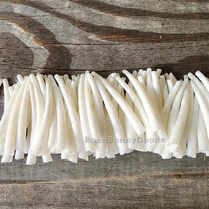100 pieces 1.50 inch Smooth Dentalium Shells, white color tusk shells