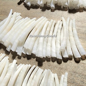 100 pieces of 1.25 inch Dentalium Smooth Shells, white color tusk shells