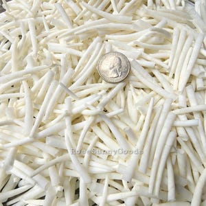 1kg (2.2 lbs) White Dentalium Shells: Smooth Tusk Shells (1-1.75 inch)