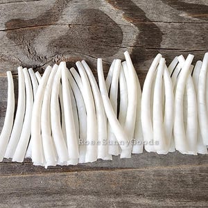 40 pieces of 1.75 inch Smooth Dentalium Shells, white color tusk shells