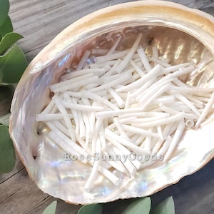 2 oz Small Dentalium Seashells, smooth tusk shells, 0.5-1.35 inch