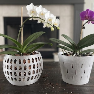 Puede incluir: Dos orquídeas en maceta, una con flores blancas y otra con flores moradas. Las orquídeas están en macetas plateadas decorativas. La maceta de la izquierda tiene un patrón geométrico, la de la derecha ranuras verticales.