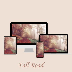 Könnte beinhalten: Ein digitales Mockup einer Herbstwaldszene, die auf einem Desktop-Computer, Laptop, Tablet und Smartphone angezeigt wird. Das Bild zeigt einen Weg durch den Wald mit heruntergefallenen Blättern auf dem Boden und einem nebligen Hintergrund. Der Text "Fall Road" wird unter den Geräten angezeigt.