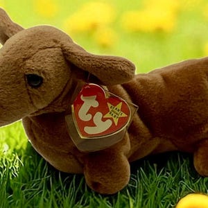 May include: A brown plush dachshund toy with a red heart-shaped tag. The toy is lying in green grass with yellow flowers in the background. The tag has the words "BEANIE BABY" and a star.